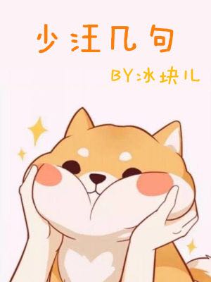 少汪几句小说无删减